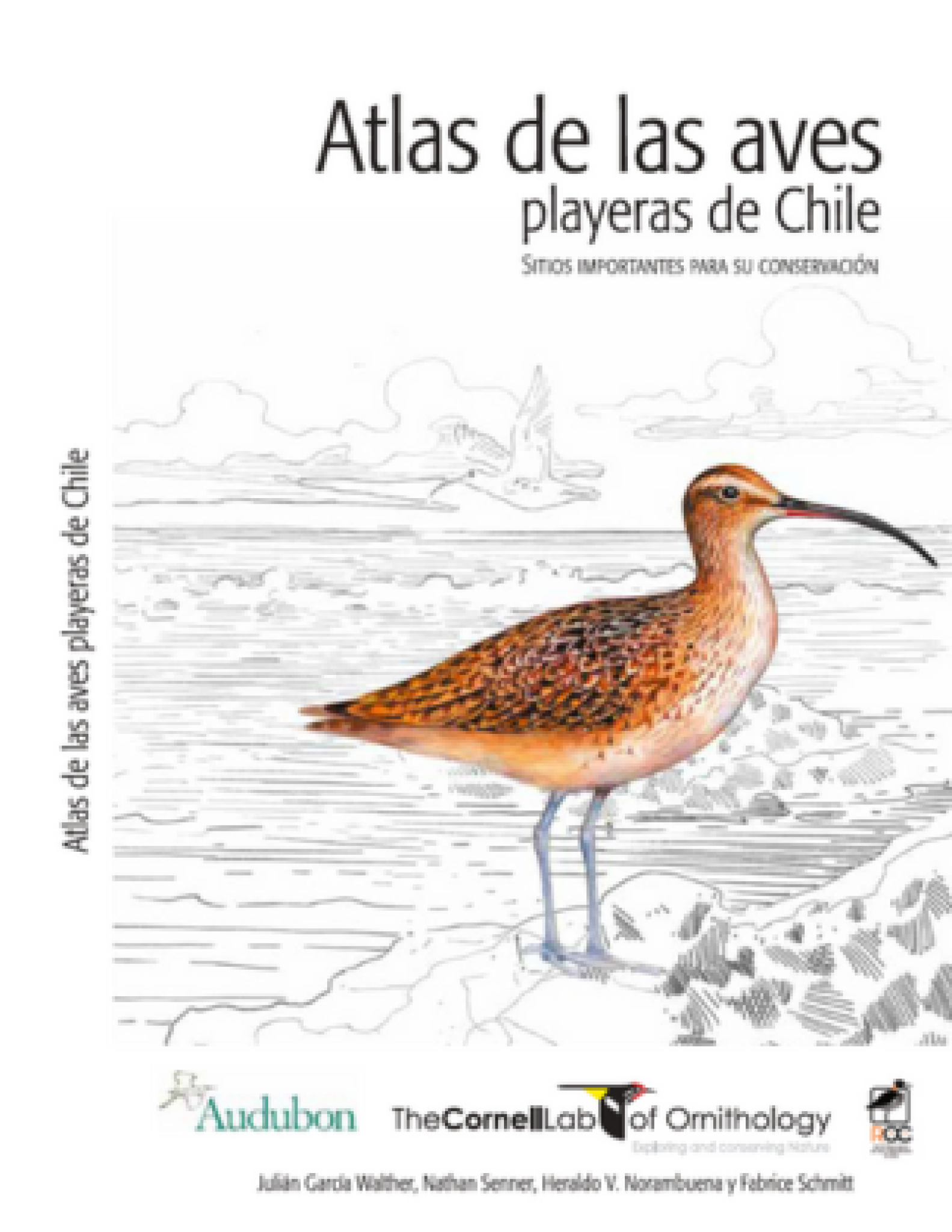 Atlas Playeras