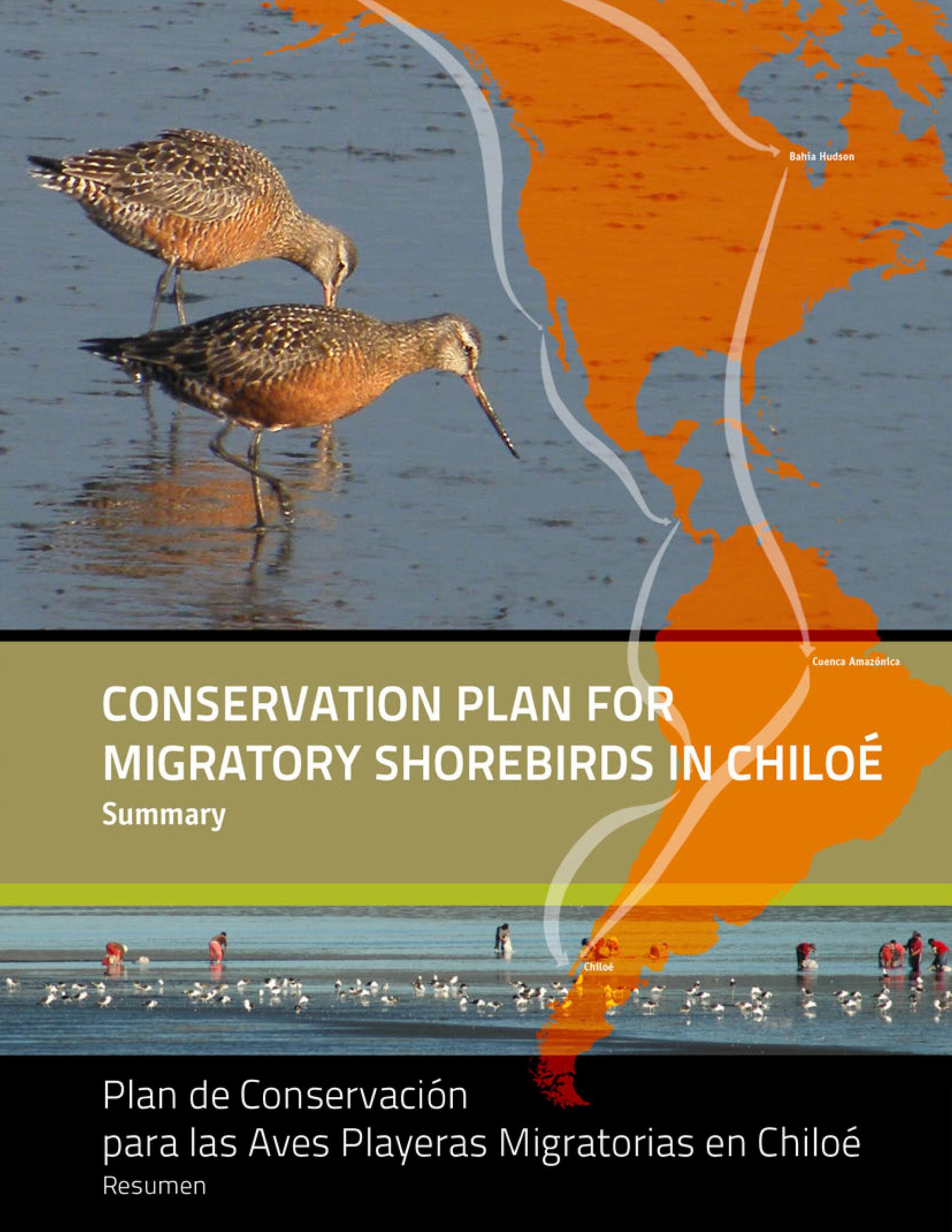 plan_conservacion_chiloe-152